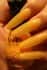 Nfu.Oh Lacquer FS 02