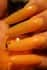 Nfu.Oh Lacquer FS 03