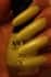 Nfu.Oh Lacquer FS 19