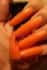 Nfu.Oh Lacquer FS 20