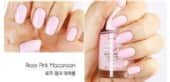 Rose Pink Macaroon