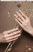 81 konad gel Polish Ash Blue
