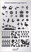 21270845_1529208187158443_8400511844719388059_n